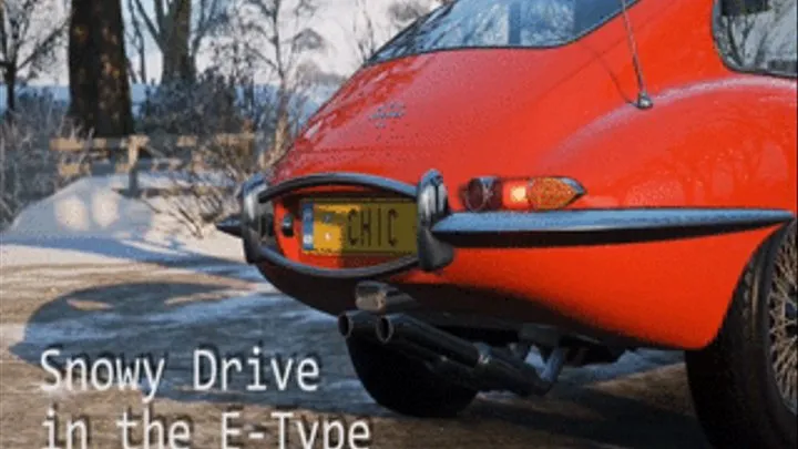 Snowy Drive in the E-Type