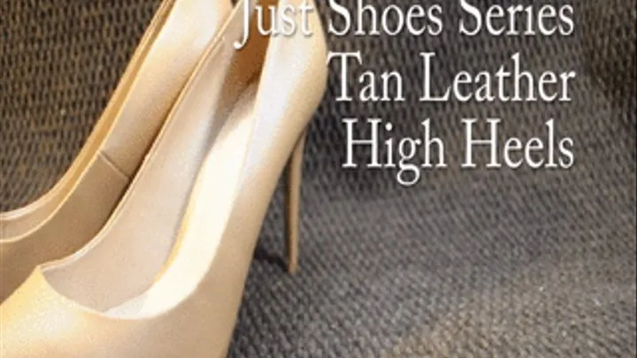 Just Shoes Series: Tan Leather High Heels