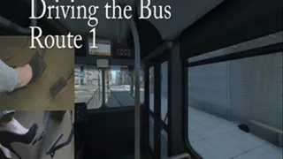 Driving the Bus Route 1