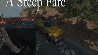 A Steep Fare