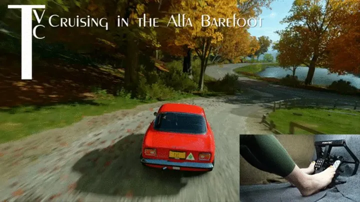 Cruising in the Alfa Barefoot