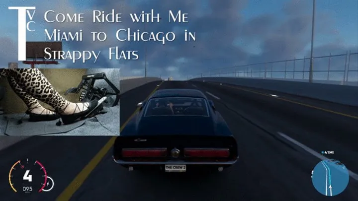 Come Ride with Me Miami to Chicago in Strappy Flats