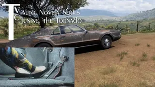 Auto Novela Series: Tuning the Tornado