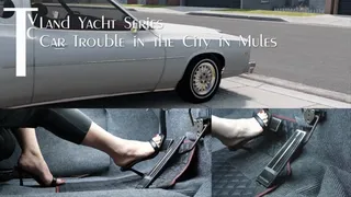 Land Yacht Series: Car Trouble in the City in Mules