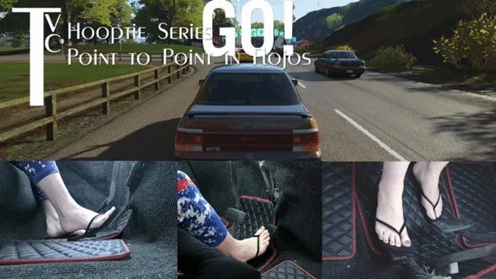 Hooptie Series: Point to Point in Flojos