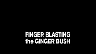 Fingerblasting the Ginger Bush