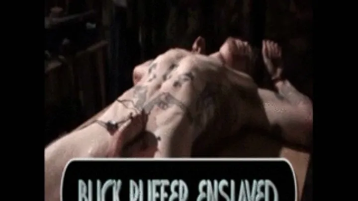 Buck Ruffer has his dick electrified 11 inches .