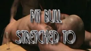 Pitbull Stretched hole