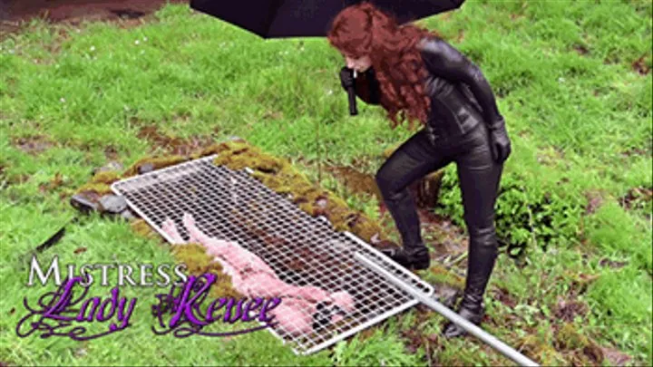 Mistress Lady Renee - slave pit feeding