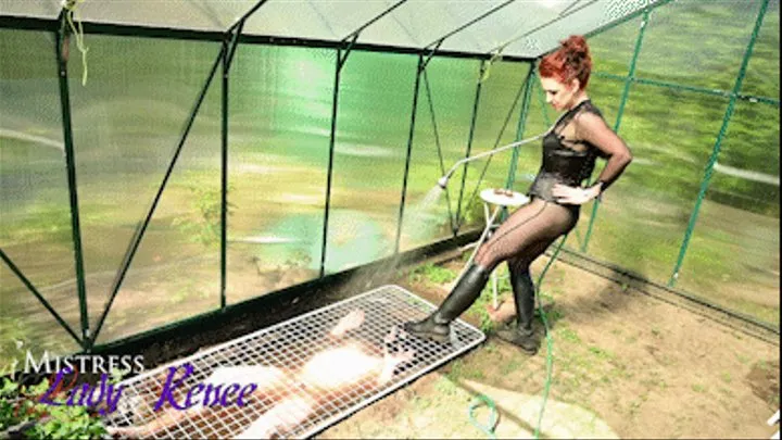 Mistress Lady Renee - In the dirty pit