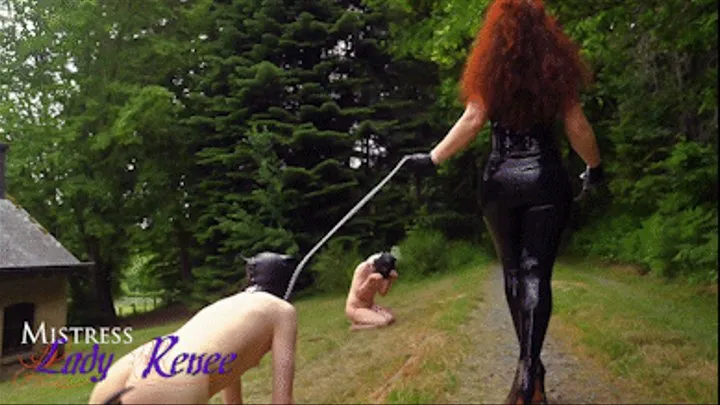 Mistress Lady Renee - 2 puppies