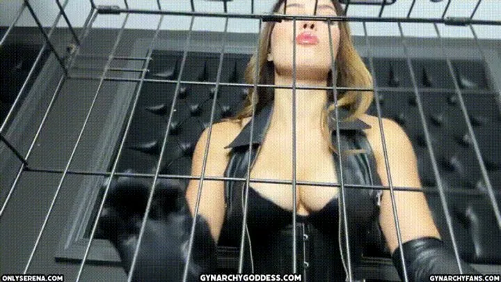 Tricked into Cage Punishment POV