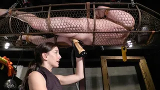 Lube Service - Strange Hobbies and Elise Graves - Strapped in Cage Face-Down, Suspended in Air, and to Orgasm with Venus 2000