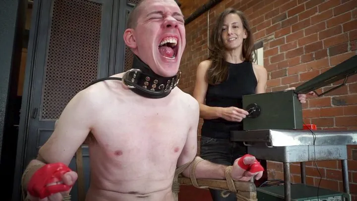 Electro Torment for Meat Eater - Dart Tech and Elise Graves - Extreme Electro Magneto Empathy Training for Carnivore