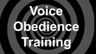 Voice Obedience Training