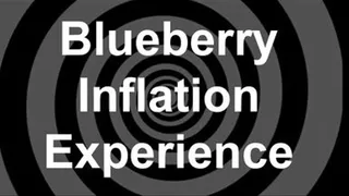 Blueberry Inflation Experience