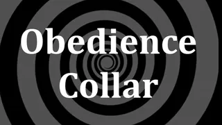 Obedience Collar