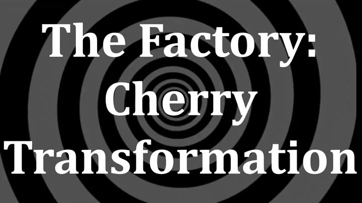 The Factory: Cherry Transformation