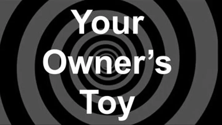 Your Owner's Toy