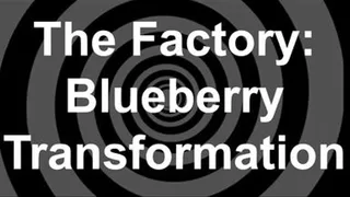 The Factory: Blueberry Transformation