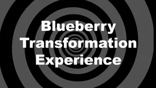 Blueberry Transformation Experience