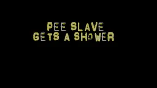 Pee Slave Gets a Shower