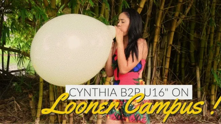 Looner Campus : Cynthia B2P white Unique 16" -