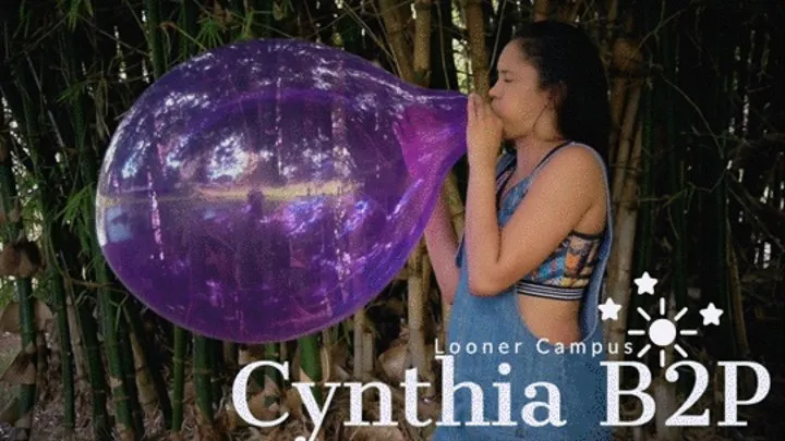 Looner Campus : Cynthia B2P Purple Unique 16" -