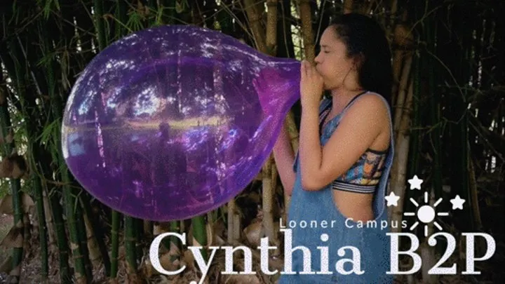 Looner Campus : Cynthia B2P Purple Unique 16"