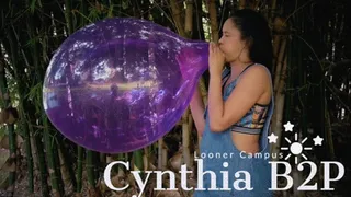 Looner Campus : Cynthia B2P Purple Unique 16"