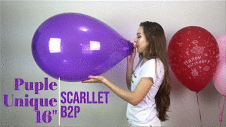 Scarllet B2P Purple Unique 16" The B2P Game