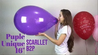 Scarllet B2P Purple Unique 16" The B2P Game -