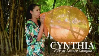 Looner Campus: Cynthia vs Tuff-Tex 17" orange