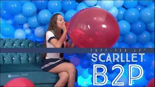 Scarllet Schoolgirl B2P Red TT17"