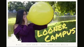 Looner Campus : Yuno Quick Blow to Pop yellow 14"