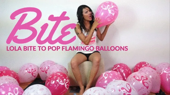 Lola Bite To Pop Pink Flamingo 10" Balloons