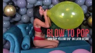 Dani Blow to Pop Yellow U16" LN