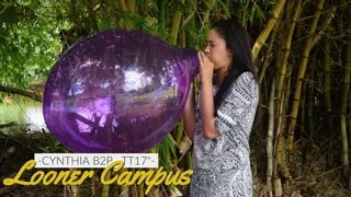 Looner Campus: Cynthia B2P Purple Crystal TT17"