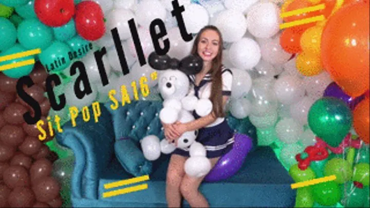 Scarllet Sit Pop Purple Sa16" on the balloon Garden!