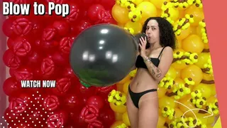 Beatriz Blow to pop Longneck Black U16"