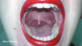 A tour of my mouth