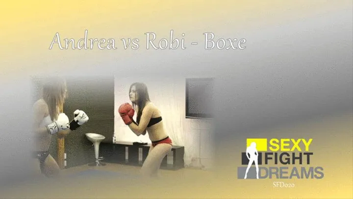 SFD020 Andrea vs Robi - Boxe FULL