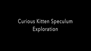 Curious Kitten Internal Speculum Exploration. Cervix Viewing.