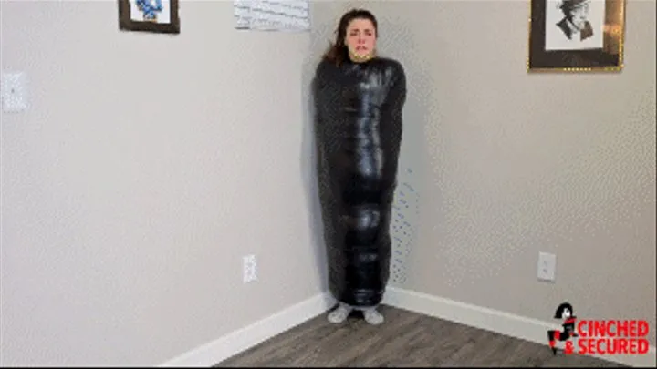 Smytten's Babysitter Mummification