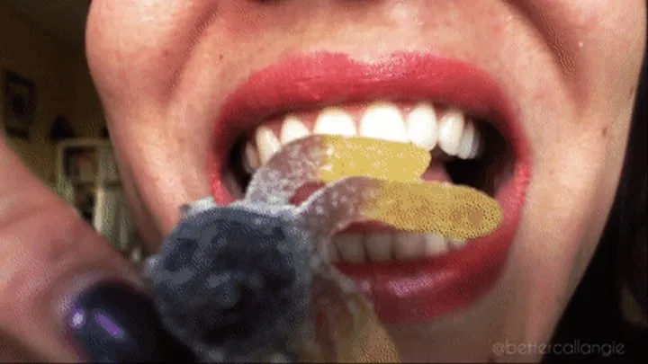 A new sweet in my mouth, I bite a gummy octopus and cut its 8 legs off with my sharp and pointed teeth, then swallowed