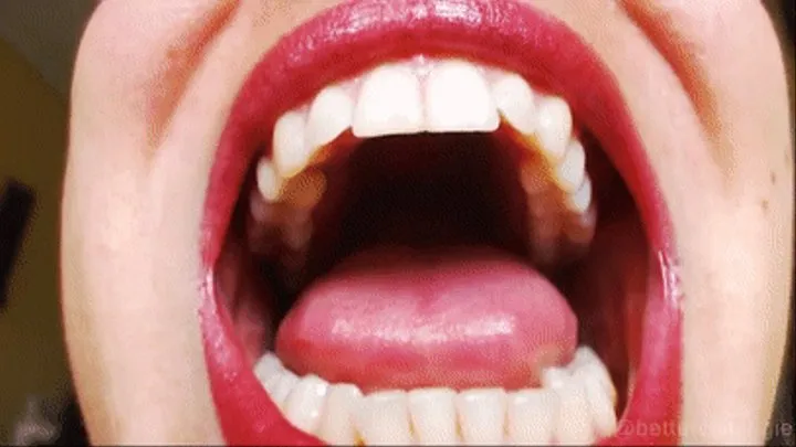 Glimpse the wonderful roof of my mouth: my perfect upper teeth arcade: canines, incisors, molars... and my red palate