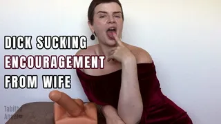 Dick Sucking Encouragement Wife