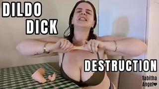 Dildo Dick Destruction