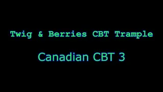 Canadian CBT 3