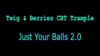 Just Your Balls 2.0